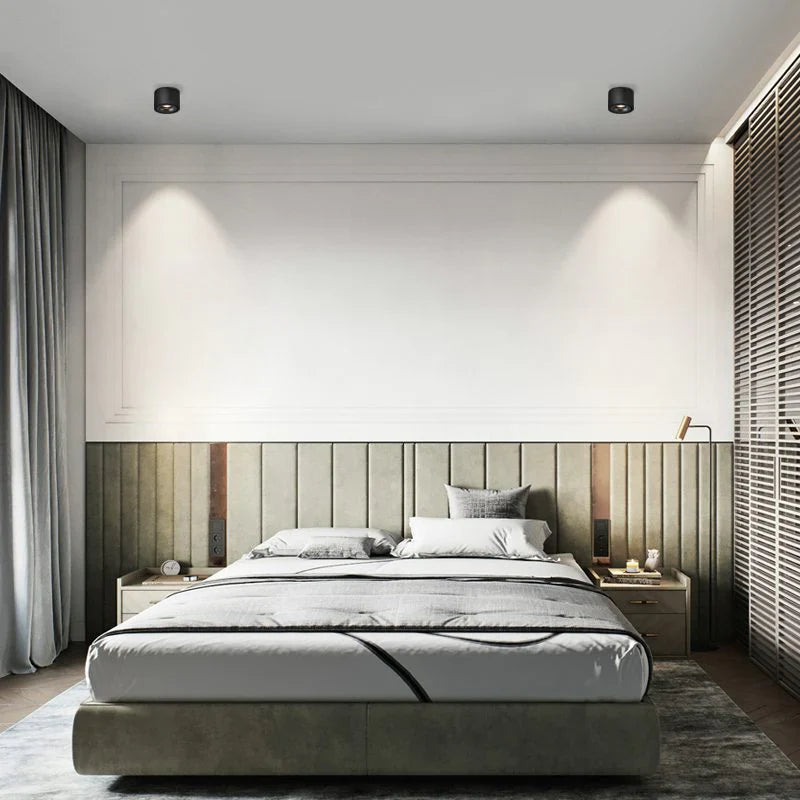 Alira Adjustable Cylinder Recessed LED Ceiling Lamp