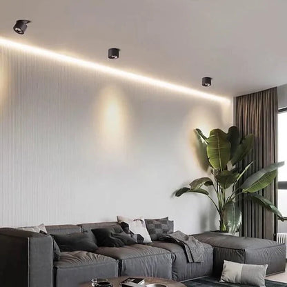 Alira Adjustable Cylinder Recessed LED Ceiling Lamp
