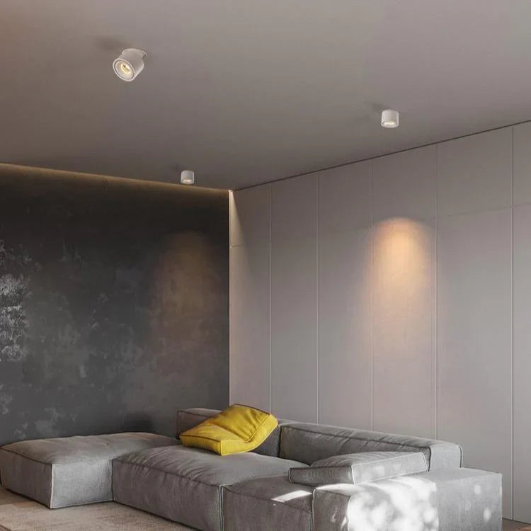 Alira Adjustable Cylinder Recessed LED Ceiling Lamp