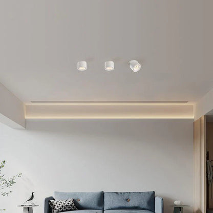Alira Adjustable Cylinder Recessed LED Ceiling Lamp
