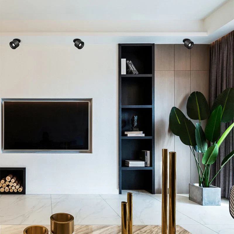 Alira Adjustable Cylinder Recessed LED Ceiling Lamp