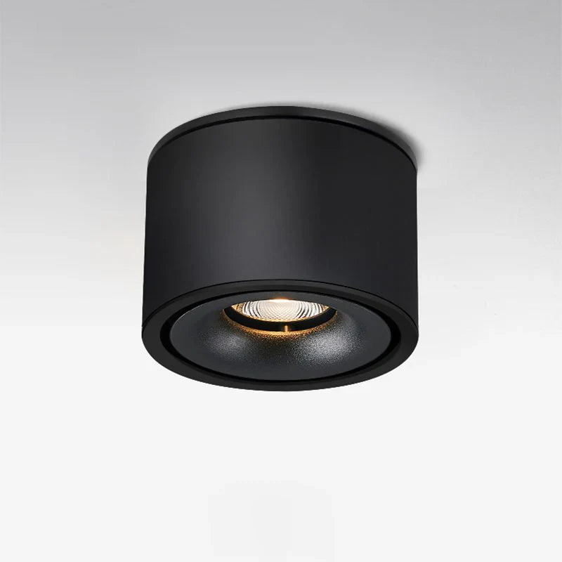 Alira Adjustable Cylinder Recessed LED Ceiling Lamp