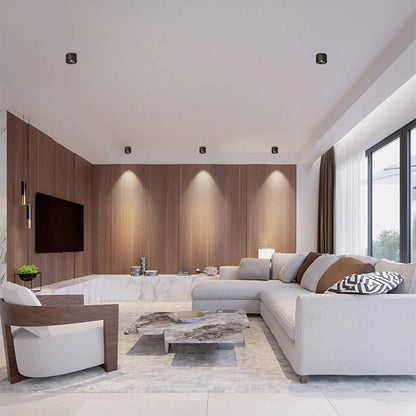 Alira Adjustable Cylinder Recessed LED Ceiling Lamp