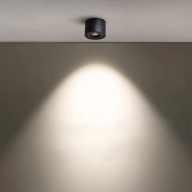 Alira Adjustable Cylinder Recessed LED Ceiling Lamp