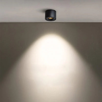 Alira Adjustable Cylinder Recessed LED Ceiling Lamp