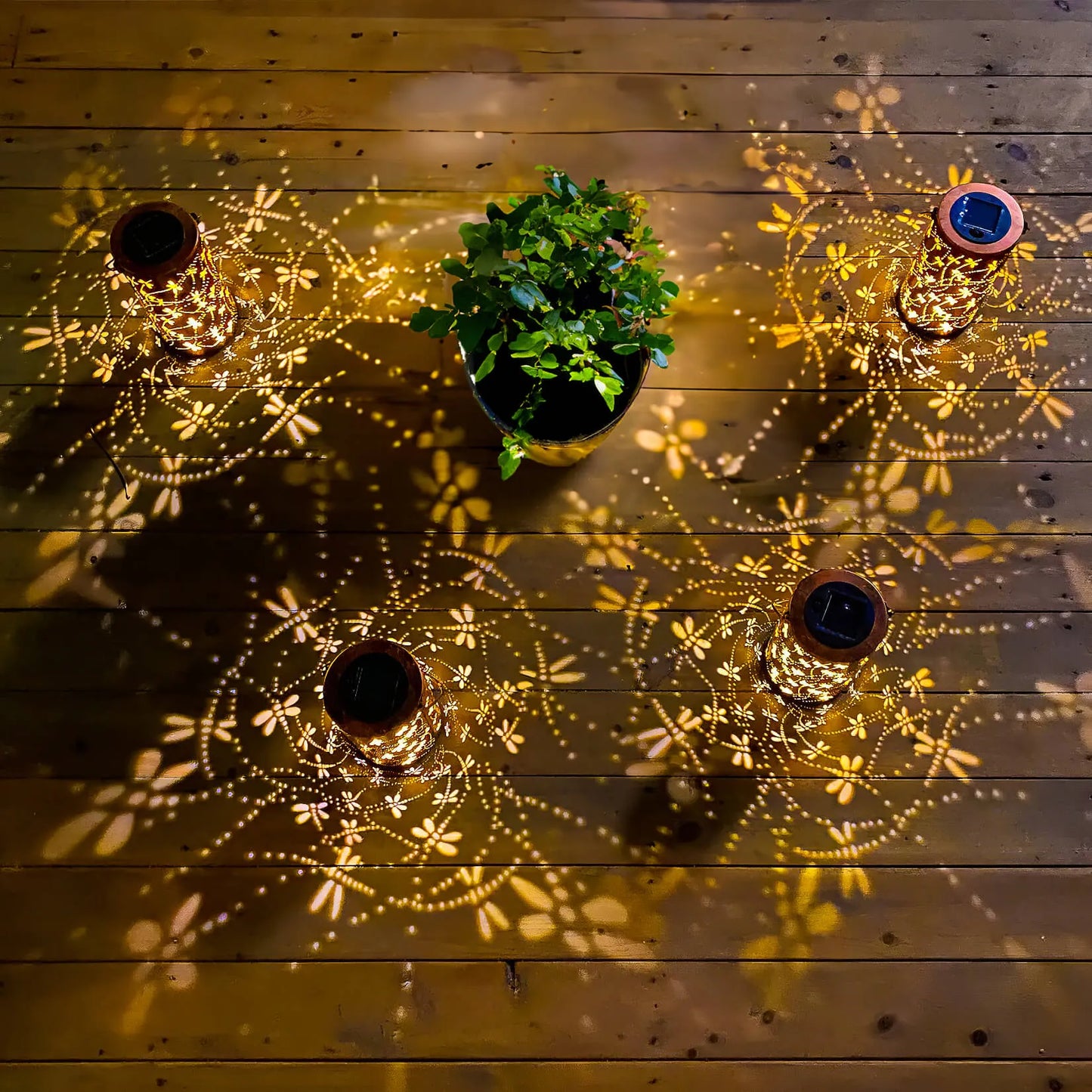 Twinkling Tree Dragonfly Lantern by Casa Solaro™