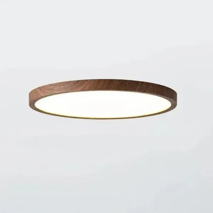 Isadora Modern LED Ceiling Lamp