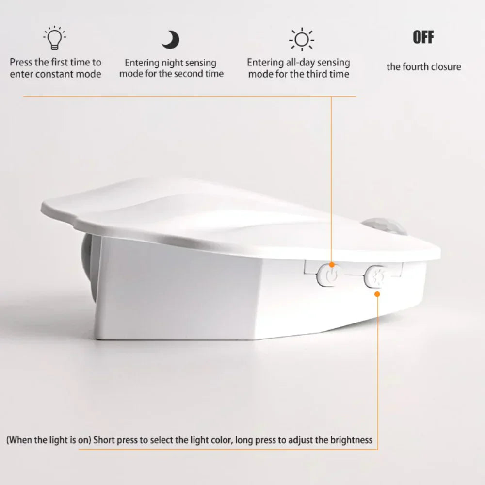 Shell Motion Light