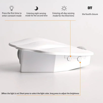Shell Motion Light