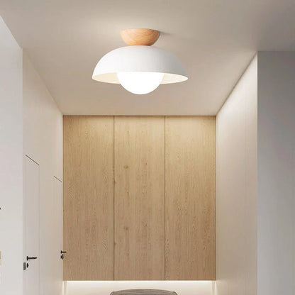 Cirella Minimalist Nordic LED Ceiling Lamp
