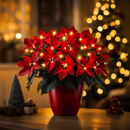 Twinkling Tree Radiant Poinsettia by Casa Solaro™