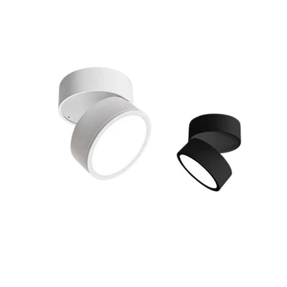 Somos Adjustable LED Ceiling Lamp