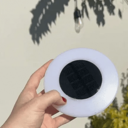 Casa Solaro™ Rust-Proof Solar Ground Light (Pack of 4)