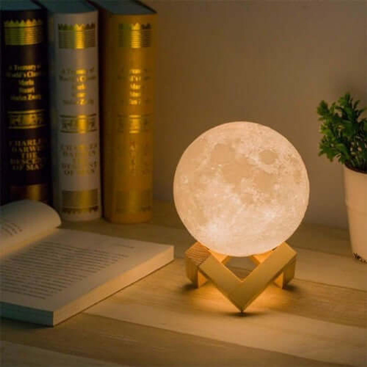 Twinkling Tree Moon Lamp by Casa Solaro™