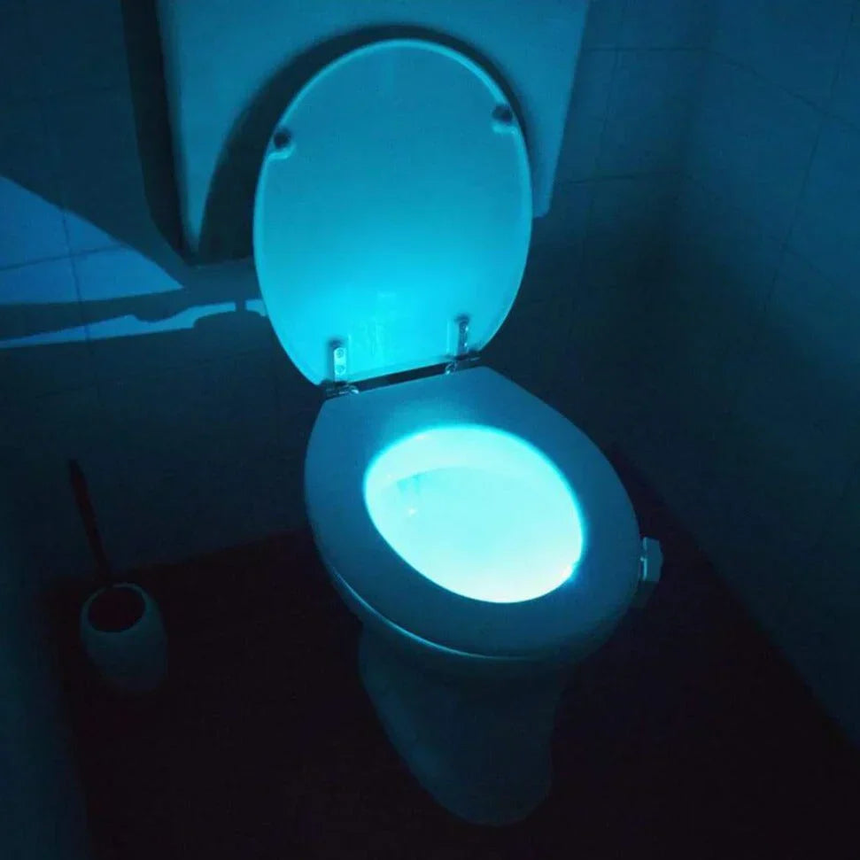 Toilet Night Light