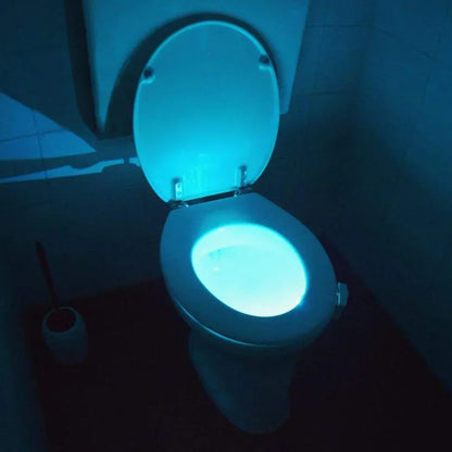 Toilet Night Light