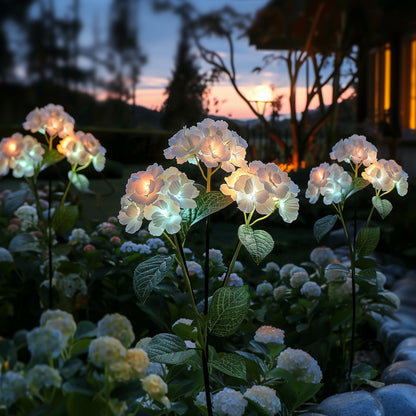 Twinkling Tree Hydrangea Lights by Casa Solaro™