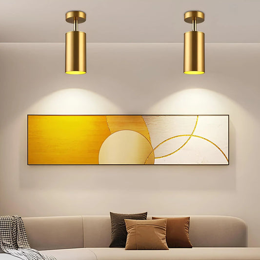Olenia Adjustable Modern LED Ceiling Lamp with Rotating Arms