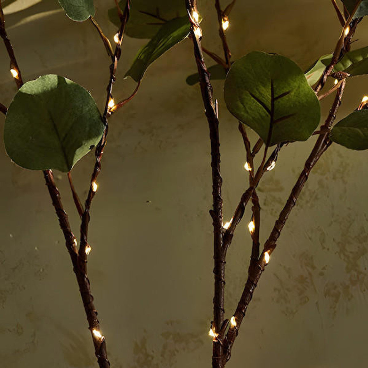 Twinkling Tree Olive Vine by Casa Solaro™